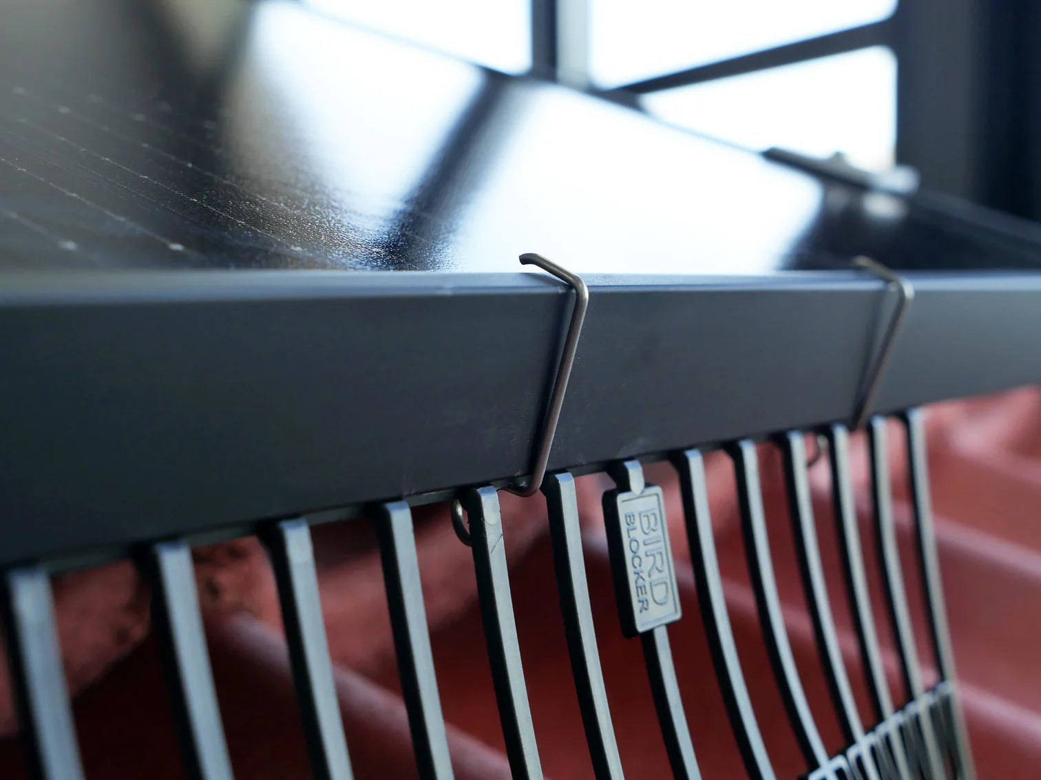 50x BirdBlocker Clips "Big"