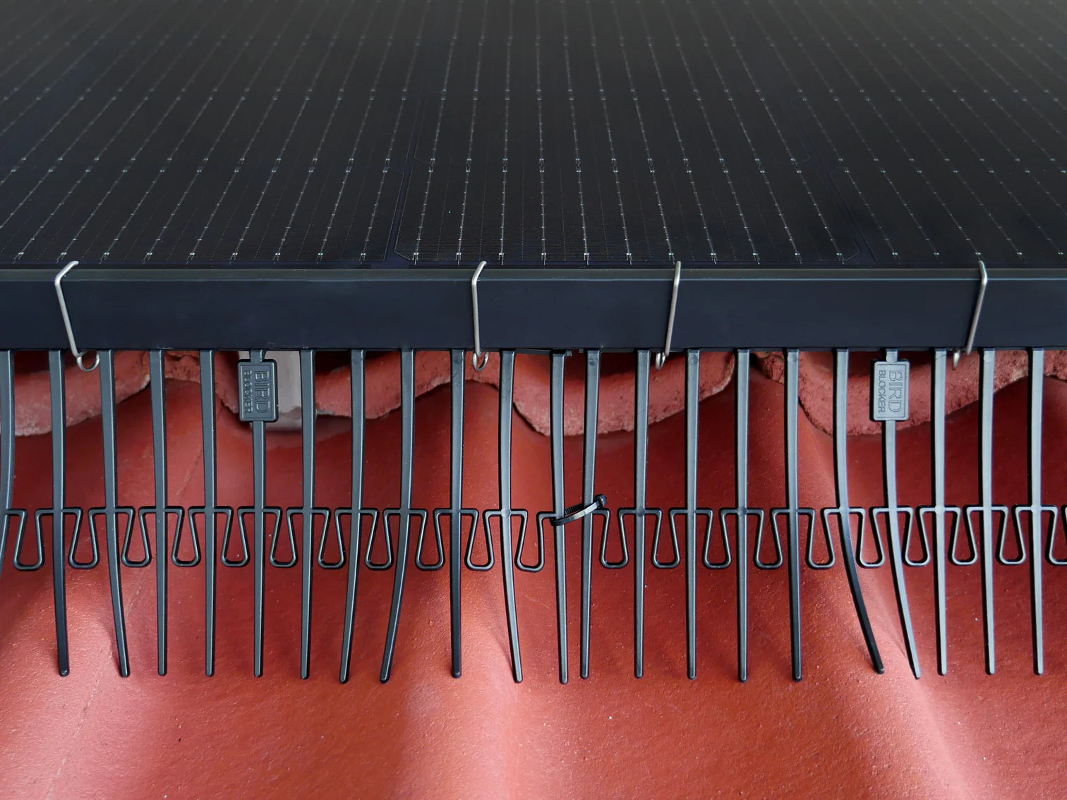 50x BirdBlocker Clips "Big"