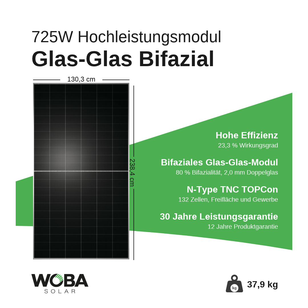 TW Solar TWMNF-66HD 725W – Highlights
