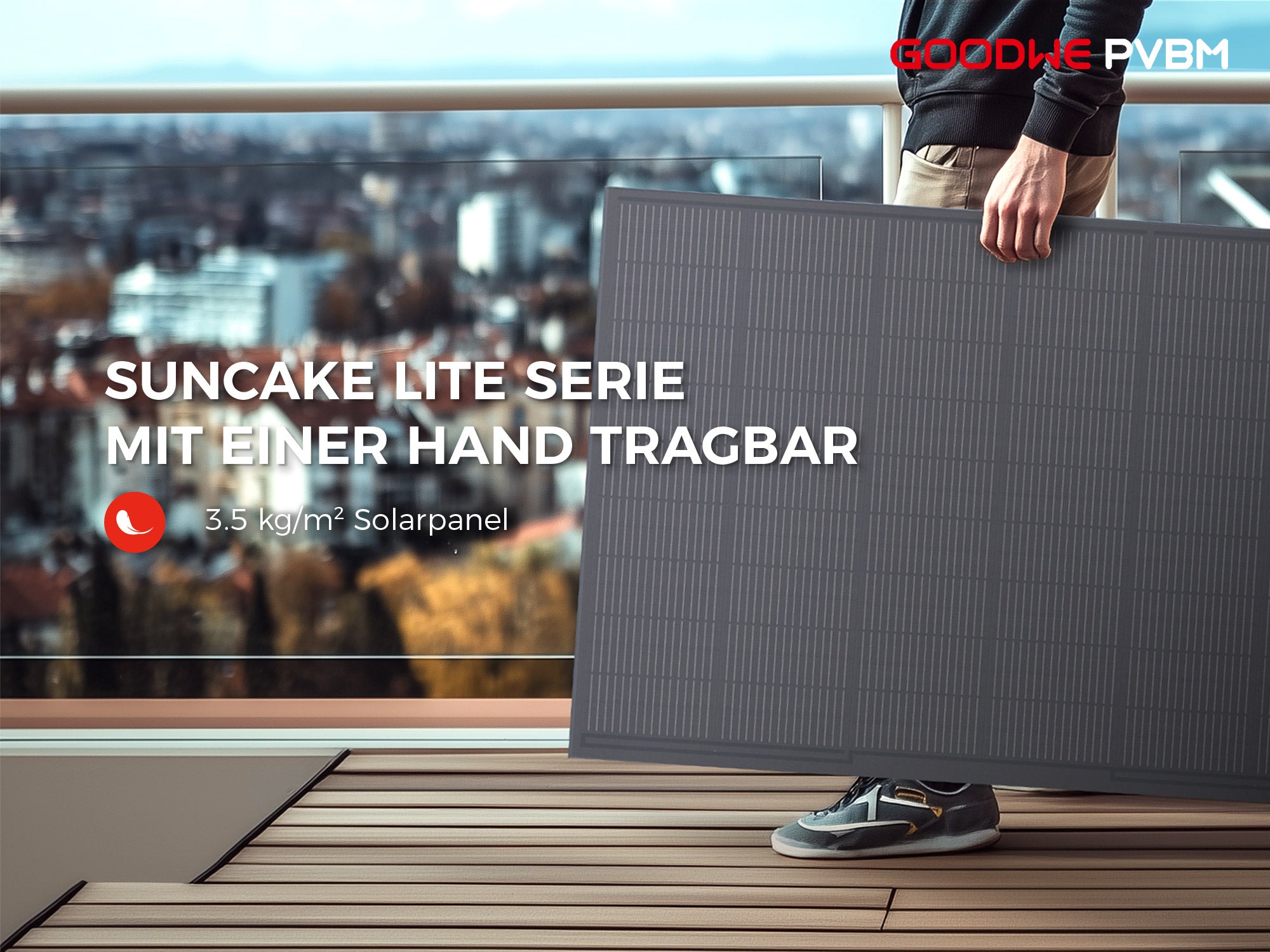 GoodWe Suncake 820 W Balkonkraftwerk Komplett-Set (inkl. Montage Set) zur 1 Person Montage